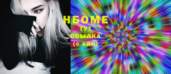 индика Алзамай