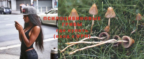 COCAINE Абаза