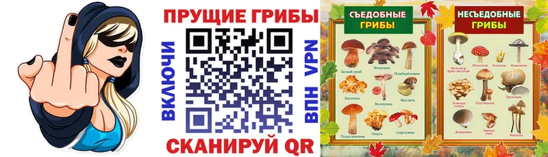 Галлюциногенные грибы мицелий  Княгинино 